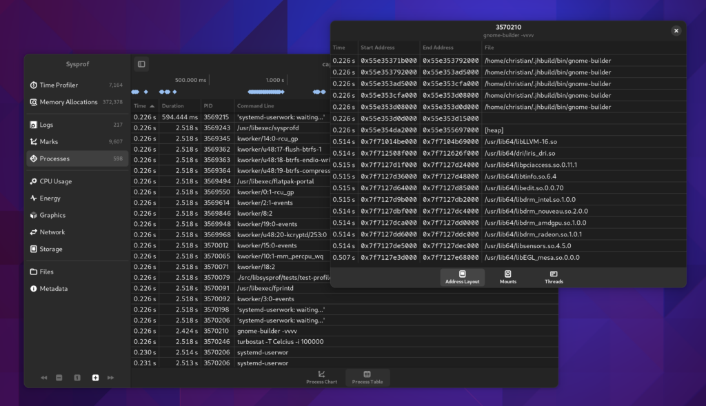 A screenshot showing the table of process information and the additional information on a single process including Address Layout.