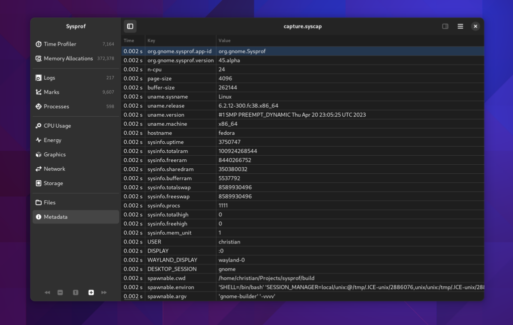 A screenshot containing a table of metadata such as the display environment variable, system memory usage, and the command line arguments used to spawn a profiled application.