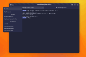A screenshot of Ptyxis showing the popover menu for terminals including containers and profiles. You can filter them by typing into a search entry.