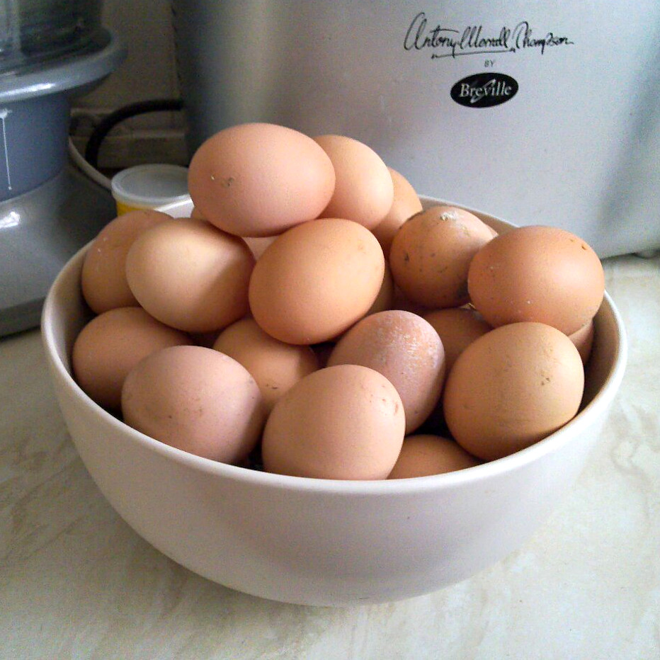 40 brown chicken eggs in a fruit bowl