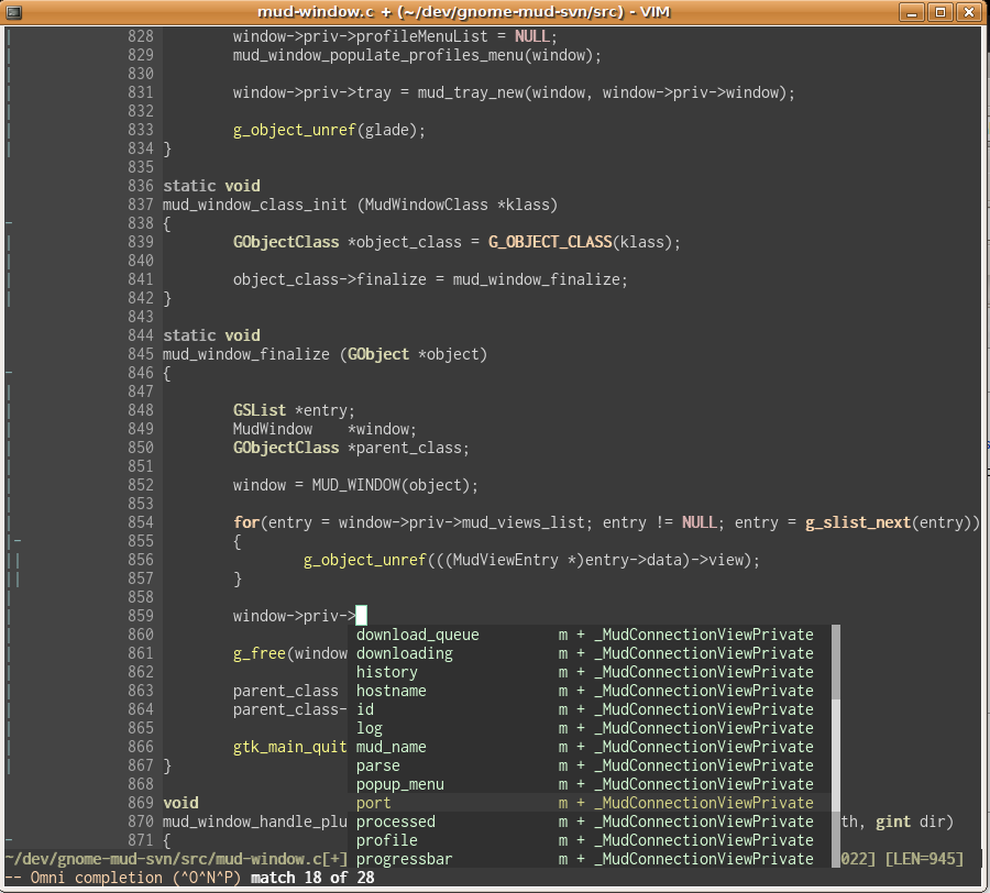 VIM Project Completion