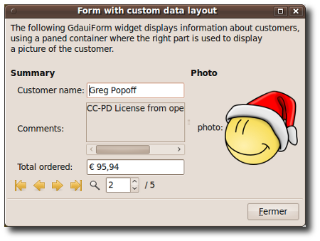 Form custom layout