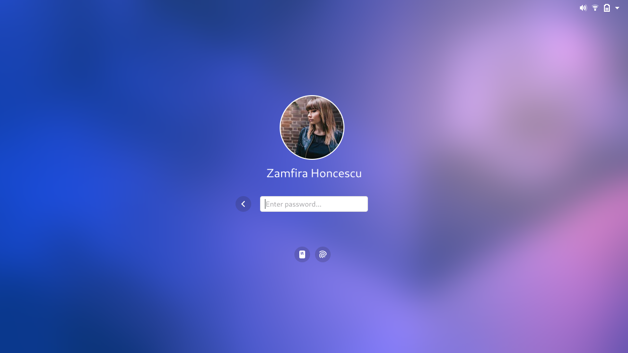 Login screen mockup