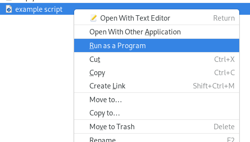 Context menu displaying "Run as a Program"