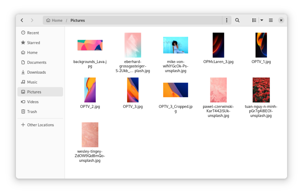Nautilus with thumbnails of various files