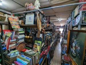 Cozy little bookstore