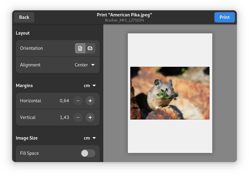 Dialog with layout options to the left an a print preview to the right showing a Pika.